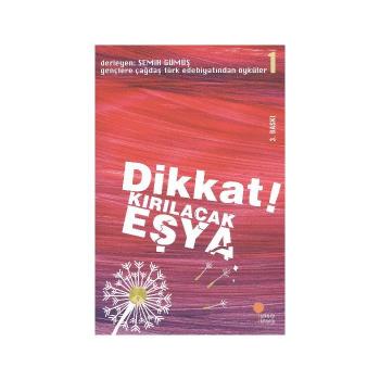 DİKKAT KIRILACAK EŞYA 1 / GÜNIŞIĞI