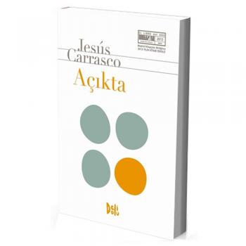 Açıkta Delidolu Kitap