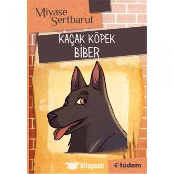 Kaçak Köpek Biber Tudem Yayınları