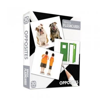 Miracle Flashcards Opposites 30 Cards Mk Publications