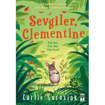 Sevgiler, Clementine - Carlie Sorosiak